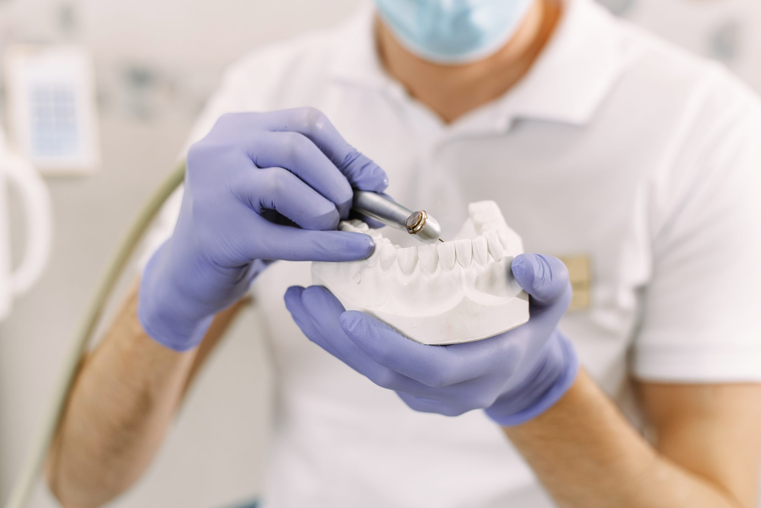 The dentist shows on the artificial jaw how he drills a tooth, removing caries. Concentrated dentist with jaw samples tooth model in dental office professional dental clinic.